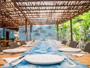 bachelortte party colombia